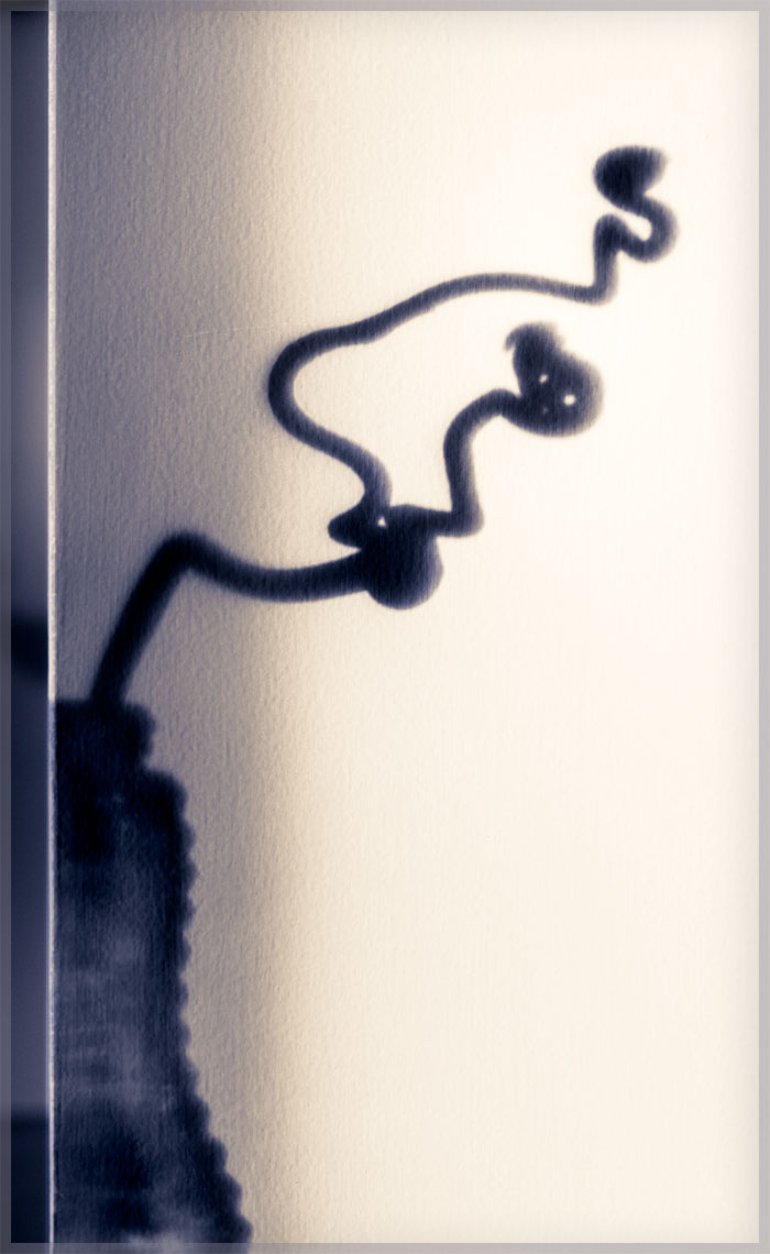 160418_0005_v6_SL089