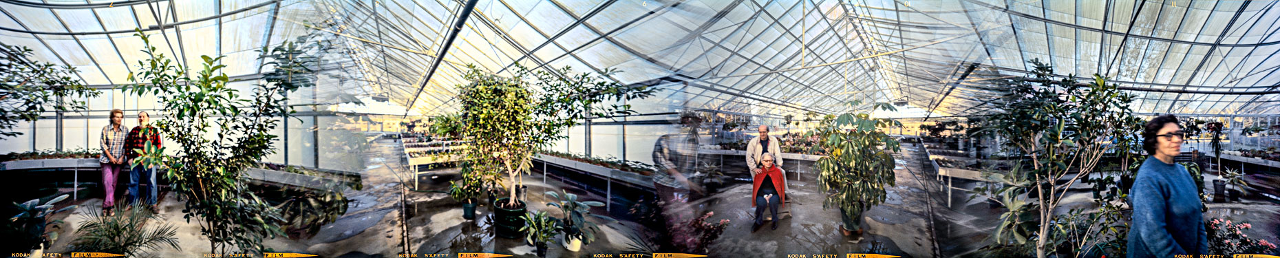 19_TobysGreenhouse_Millbrook_1973