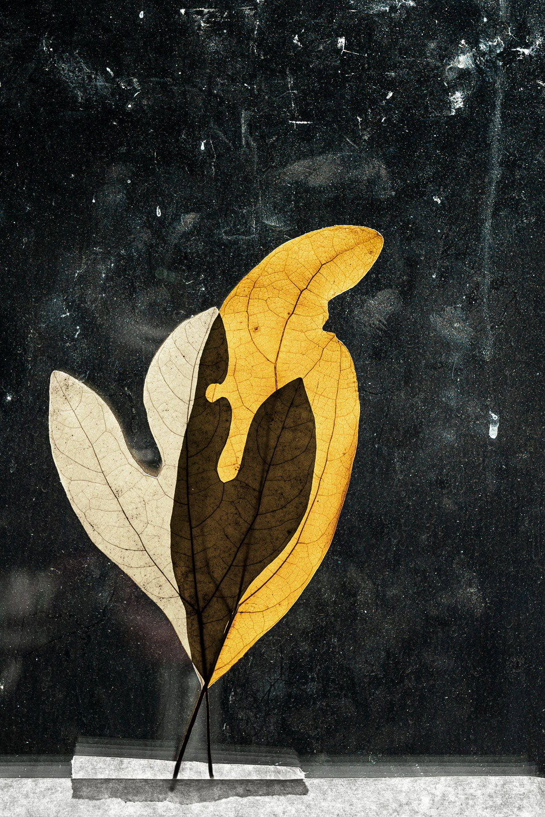 211105_0182_SWin0406_v2_WEB