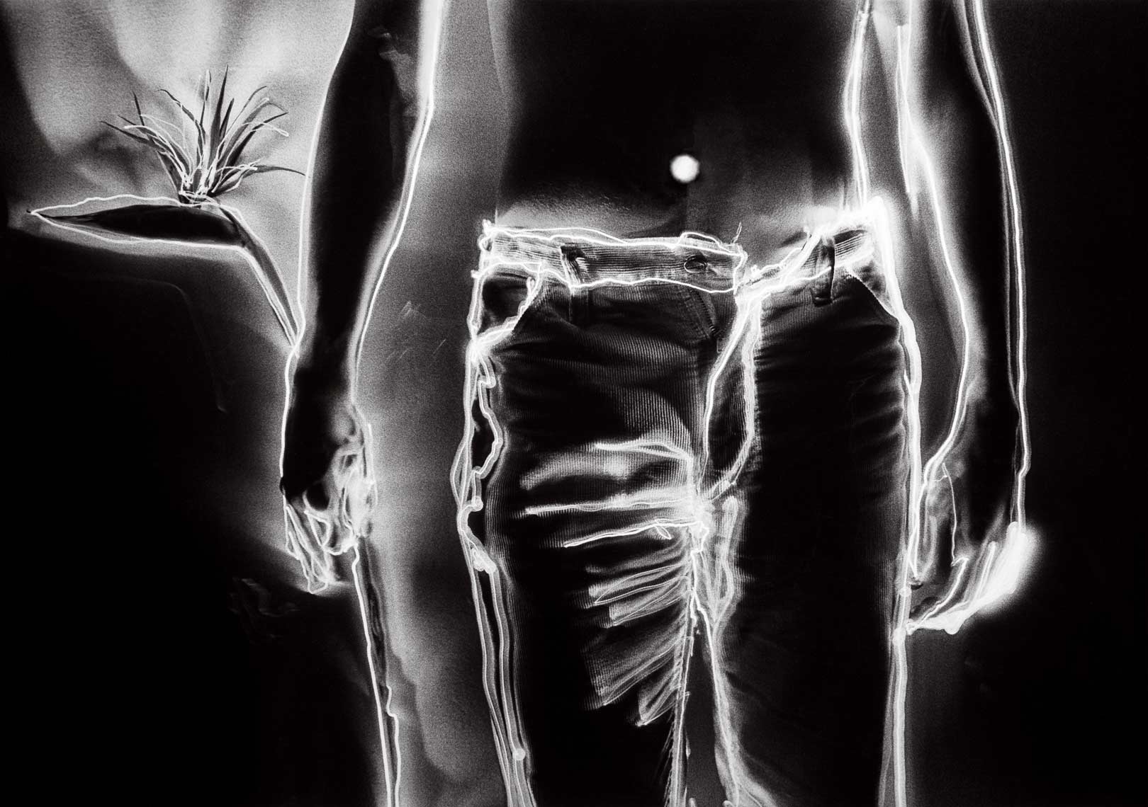 David Lebe; Bird of Paradise, 1981, male nude, light drawing, black and white photograph