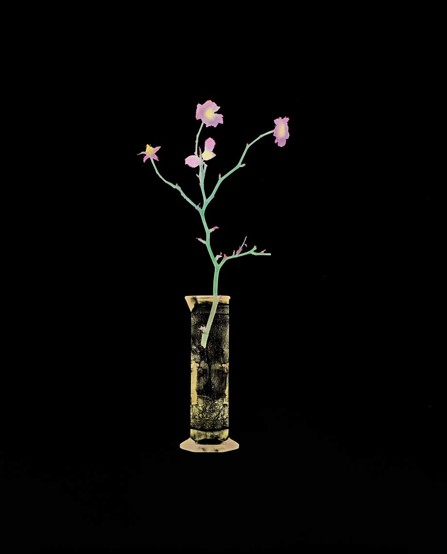 David Lebe; Flower In Glass 1, 1981, hand colored photogram