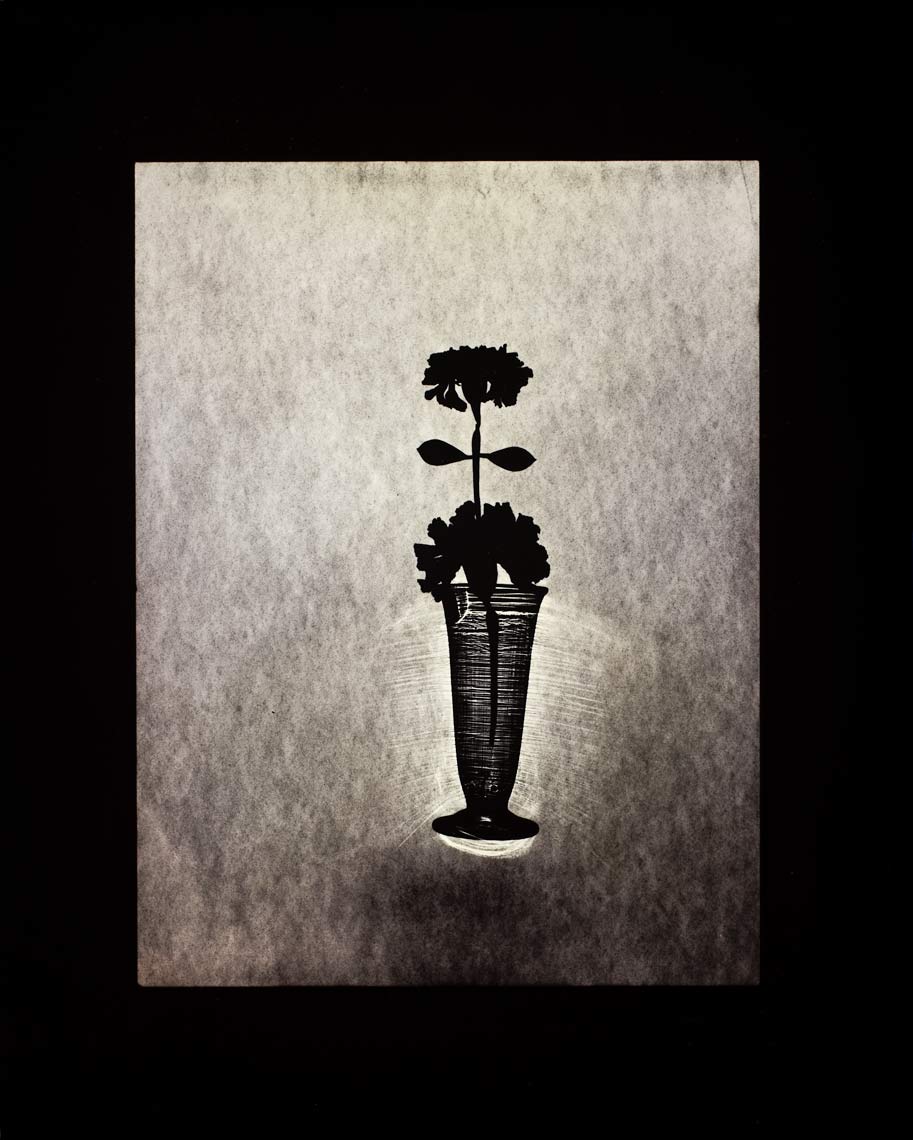 David Lebe; Flower In Glass 6, 1981-vB, black and white photogram