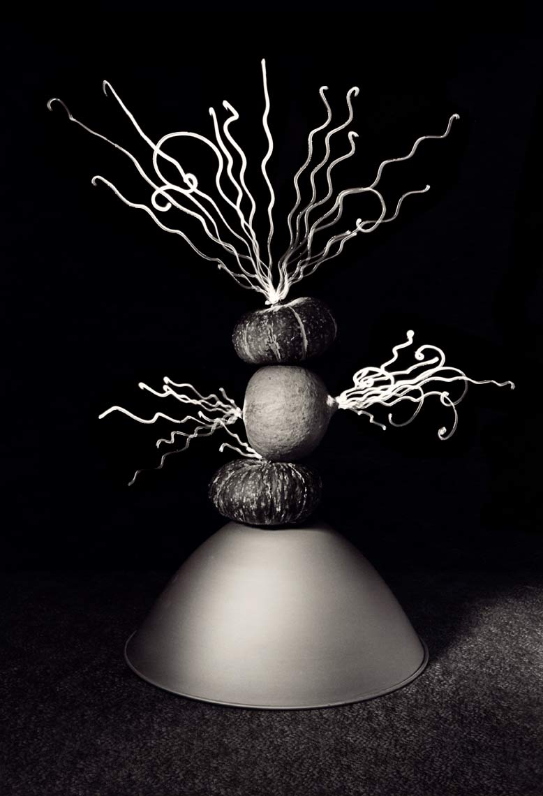 David Lebe; Food For Thought 13, 1992, light drawing, black and white photograph
