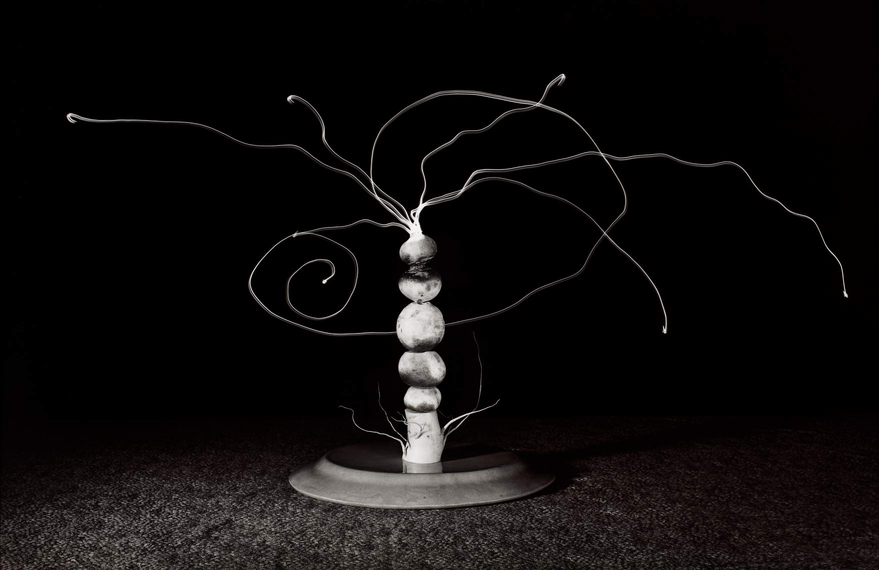 David Lebe; Food For Thought- 15, 1992, light drawing, black and white photograph