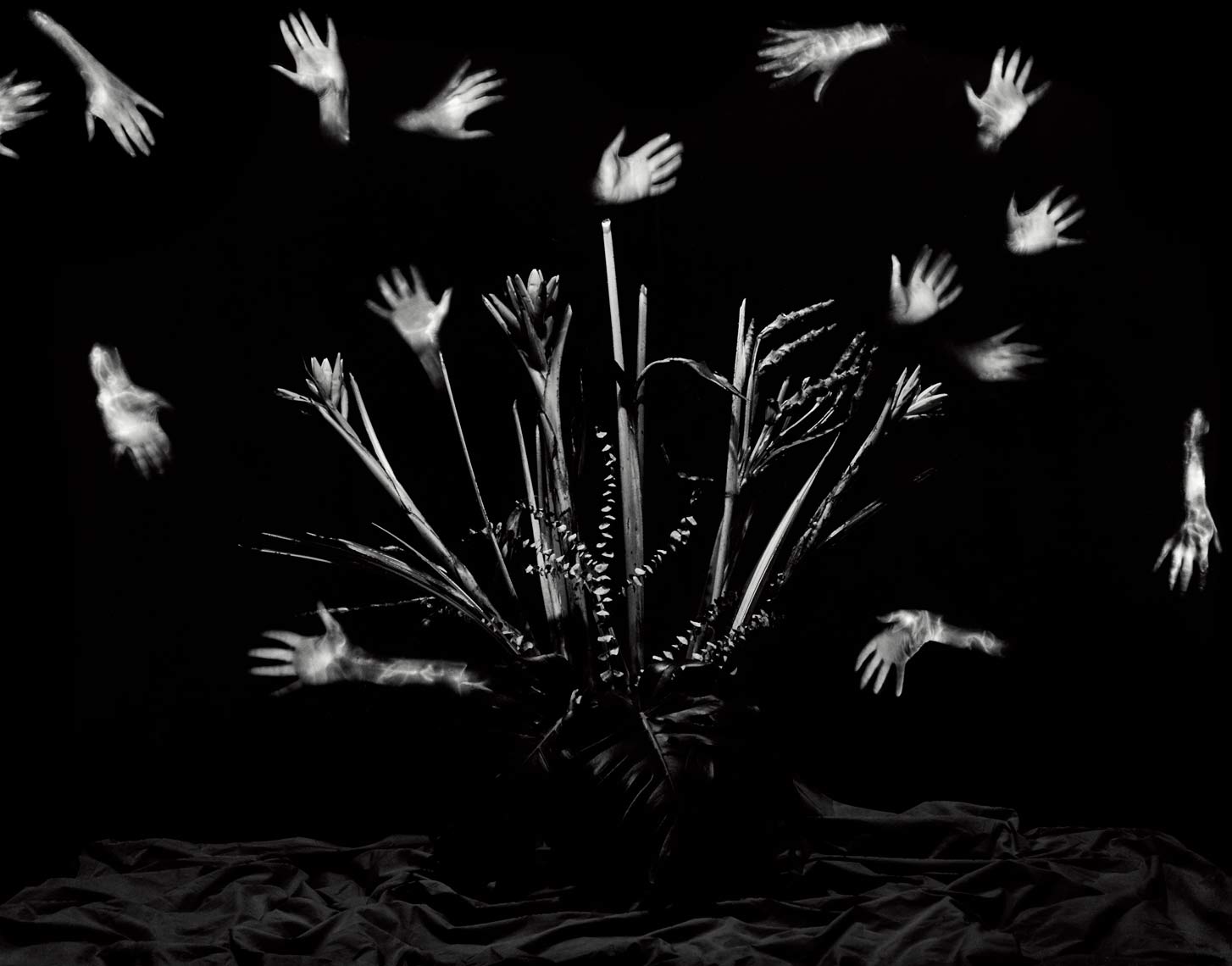 David Lebe; Hands, 1989, light drawing, black and white photograph