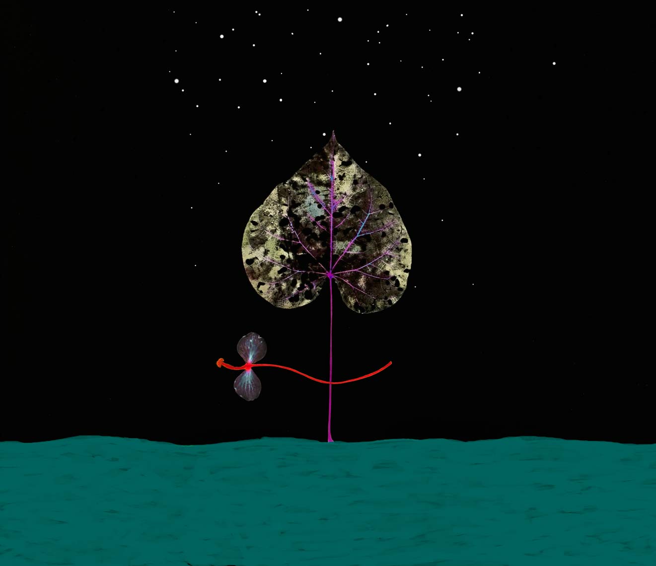 David Lebe; Landscape 25v1,  1985-2013, digitally altered hand colored photogram