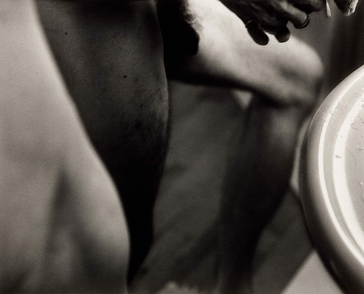 David Lebe; Morning Ritual 24, 1994, black and white photograph about living with AIDS