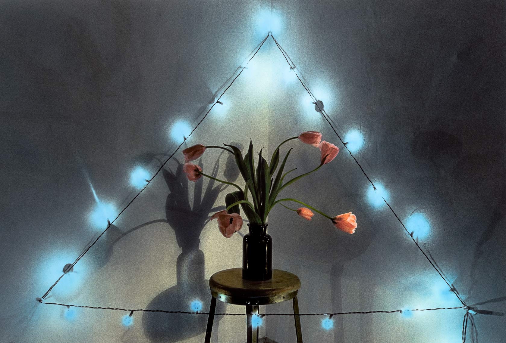 David Lebe; Pink Tulips Blue Lights, 1982, still life, hand colored photograph