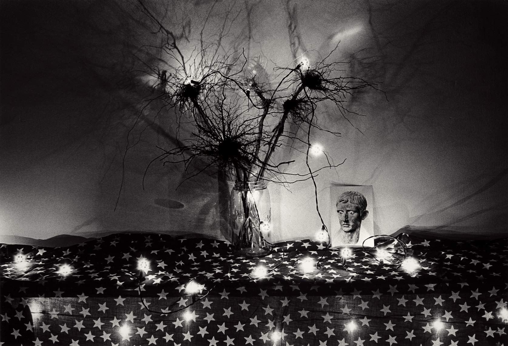 David Lebe; Roots, 1982, black and white photograph