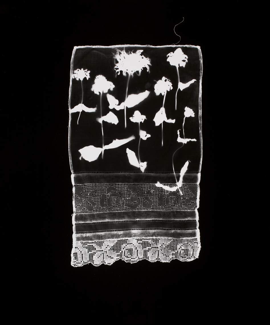 David Lebe; Specimen 15, 1978, black and white photogram