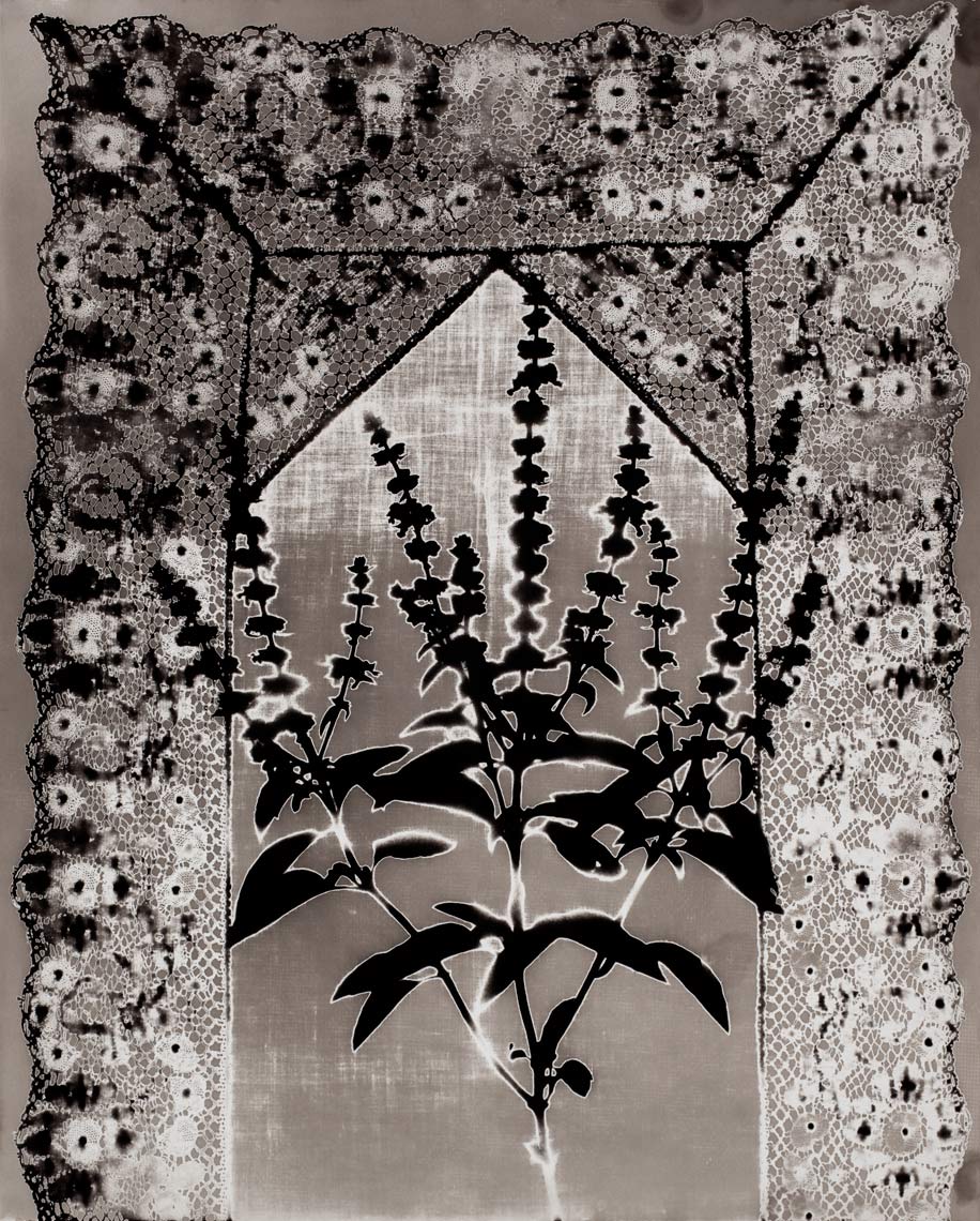 David Lebe; Specimen 16, 1979, black and white photogram