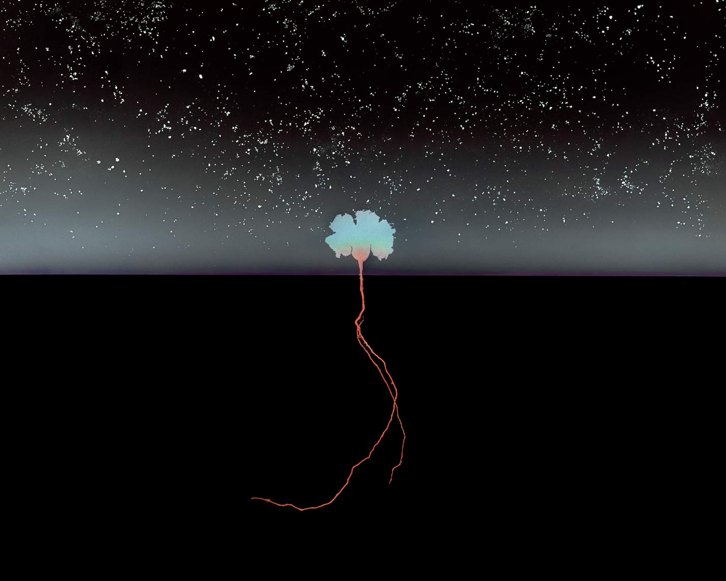 David Lebe; Starry Sky 1, 1981, hand colored photogram