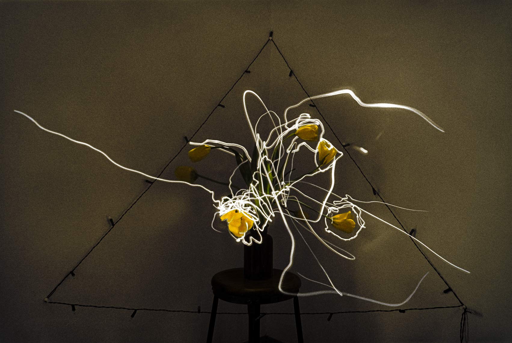 David Lebe; Yellow Tulips, 1982, still life, light drawing, hand colored photograph
